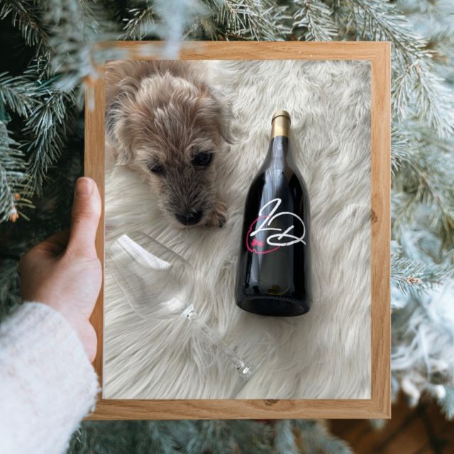 Nous vous souhaitons à toutes et à tous un joyeux Noël 🎅

Famille, partage, joie et rires : voici les ingrédients indispensables pour un Noël réussi ! Et n’oublions pas les bonnes bouteilles qui accompagneront le repas 😉

L’abus d’alcool est dangereux pour la santé, à consommer avec modération.

#joyeuxnoël #winelover #vignes #vigneron #vigneronindependant #agencedecommunication #vin #communicationvin #lesdivinescommunication #vignobles #vigne #vignes #vignerons #vigneronsdenature #communicationvigneron #vinrouge🍷 #vinrouge #vinblanc #degustationvin #communicationvin #apéro #apéritif #degustation #communicationvignerons #wine #agencedecom #vire #bourgogne #bourgognetourisme #bourgognewine #bourgognefranchecomte